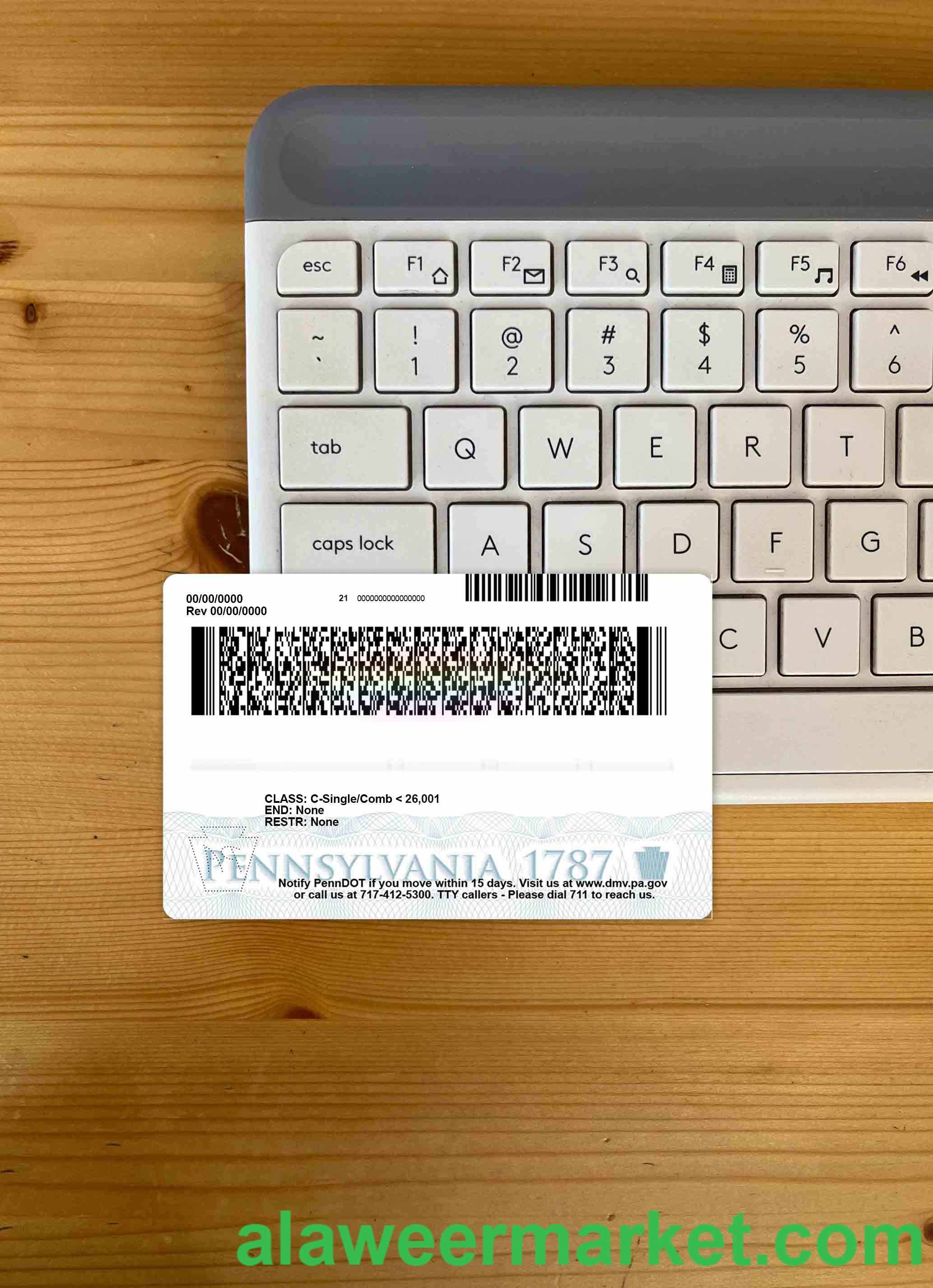 USA Pennsylvania driving license under 21 21 photolook BACK